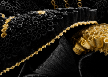 Orchidée Impériale Black by Guerlain : L&rsquo;excellence du luxe et de l&rsquo;art