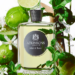 Atkinsons, l’élégance intemporelle d’un parfum d’été : Mint & Tonic