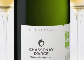 Cuvée Audace 2017 : Un nouveau millésime signé Chassenay d&rsquo;Arce