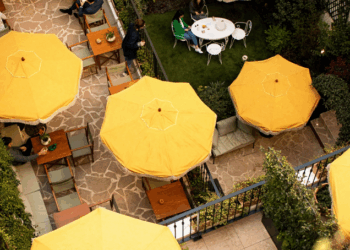 Terrasse planquée, cuisine dévoilée : bienvenue chez Monsieur Aristide