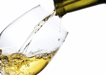 Dumnacus : l’Anjou Blanc qui envoie du Chenin