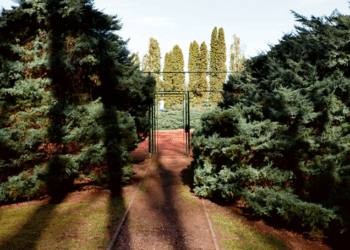 De la balle jaune aux clichés photos : « Courtship – For the Love of Tennis » chez Cravan