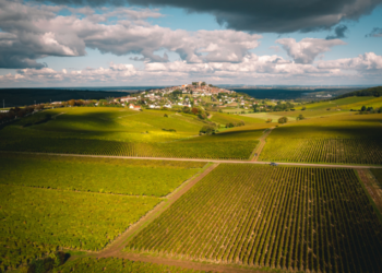 Sancerre, 90 ans et toutes ses failles bien portantes