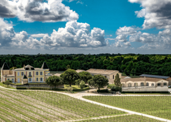 Château de France : quand les fossiles racontent le vin