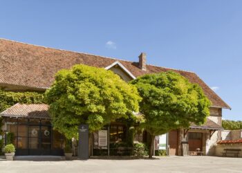 Chassenay d’Arce : quand la Champagne déniche une pépite rare