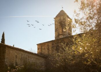 À Pierredon, la vigne est religion