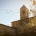À Pierredon, la vigne est religion